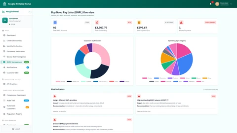 BNPL Dashboard - Comprehensive view of Buy Now Pay Later accounts and exposure