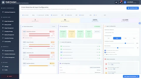 Crisis Detection & Input Configuration - Real-time capacity crisis monitoring